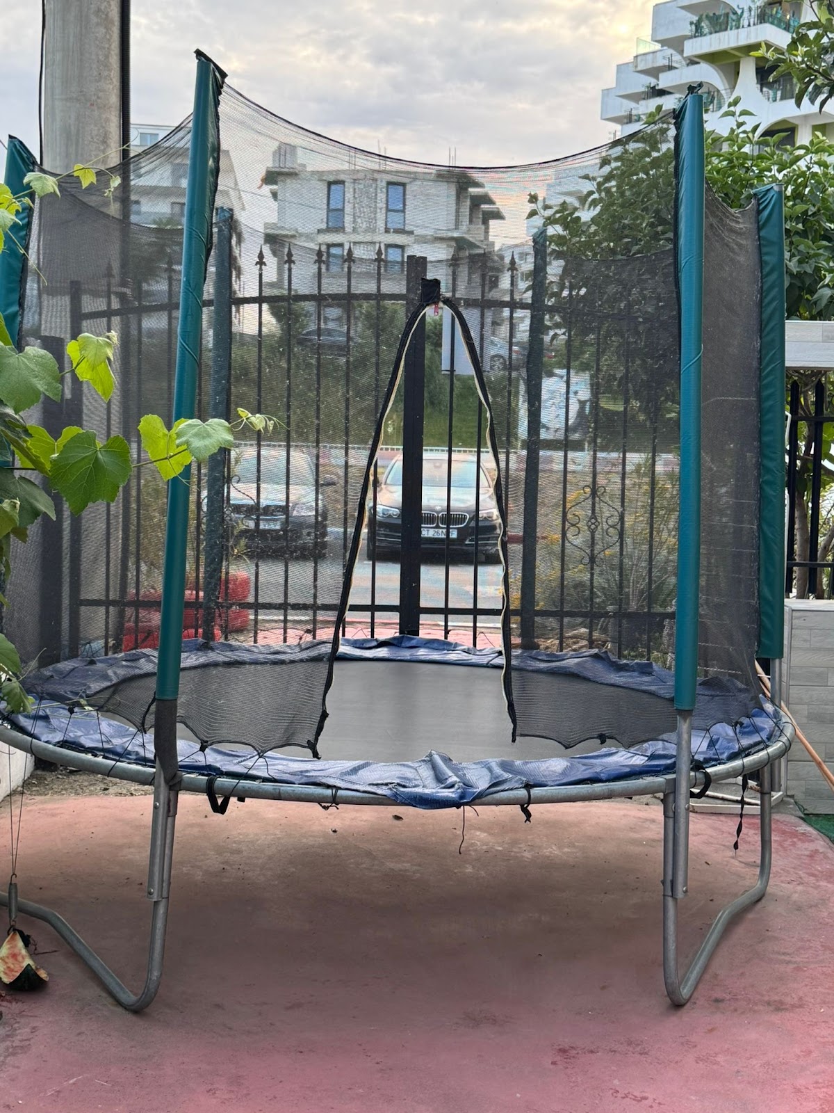 Foto 5